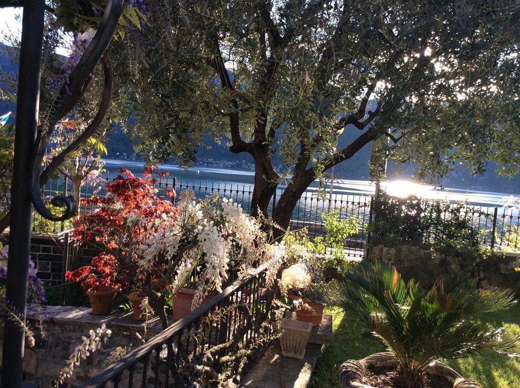 B&B - Foresteria - Frontelago Lake Como Mandello del Lario Ngoại thất bức ảnh